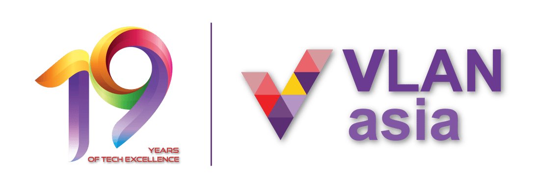 VLAN 19 Years Banner